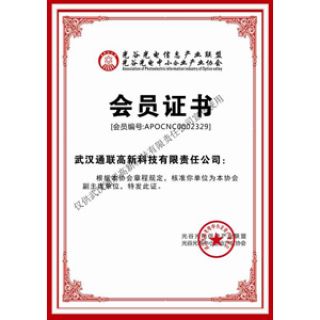 中國光谷光電聯盟協會授予“副主席單位”